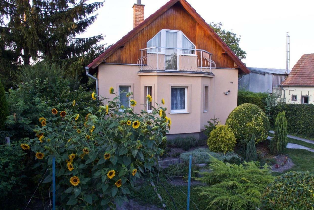 Cottage Near Slovakiaring Mihalfai Majer Eksteriør billede